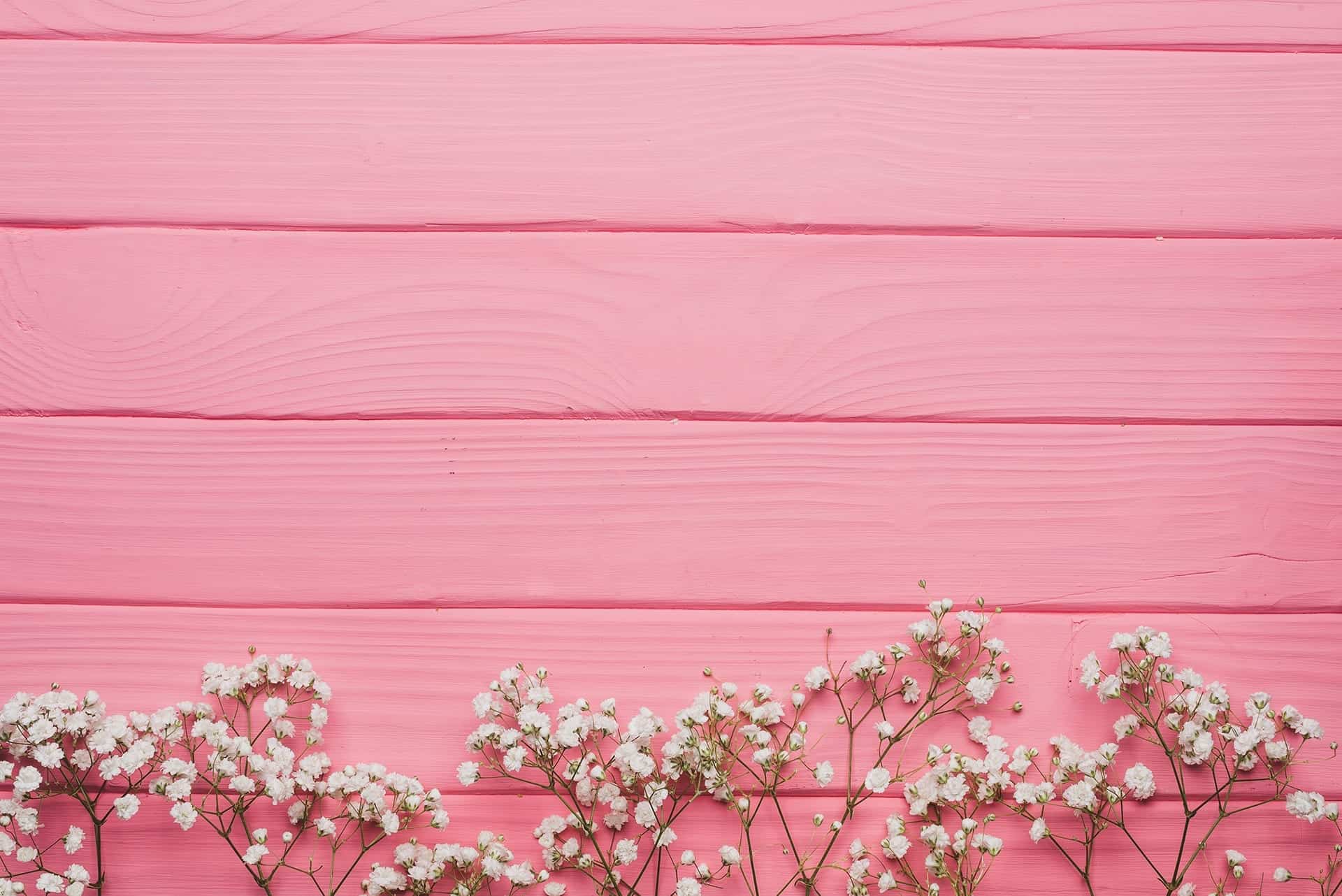Good Wallpaper Warna Pink  Soft Wallpaper  Dinding 